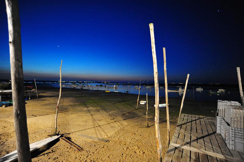 Fileyeur arcachon a1.JPG